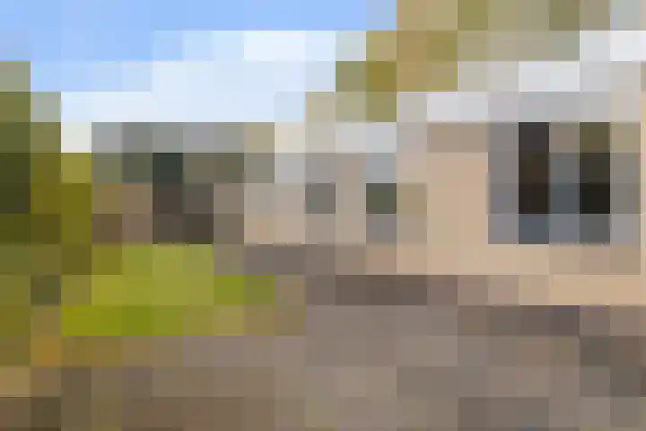 Kwekersstrjitte 3 Burgum thumbnail 21