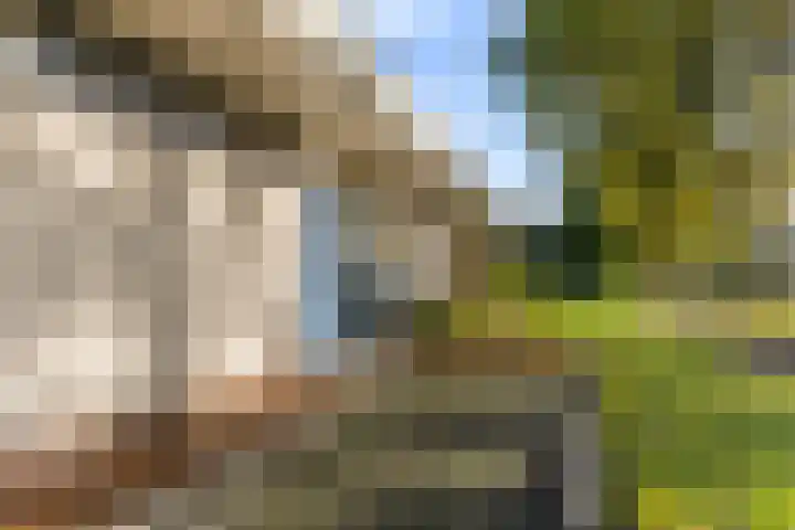 Kwekersstrjitte 3 Burgum thumbnail 4