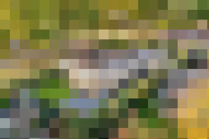 Kwekersstrjitte 3 Burgum thumbnail 48