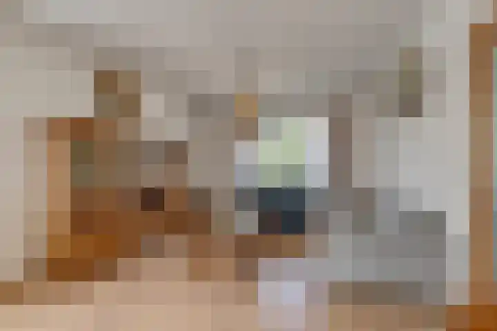 Kweldam 14 Everdingen thumbnail 4