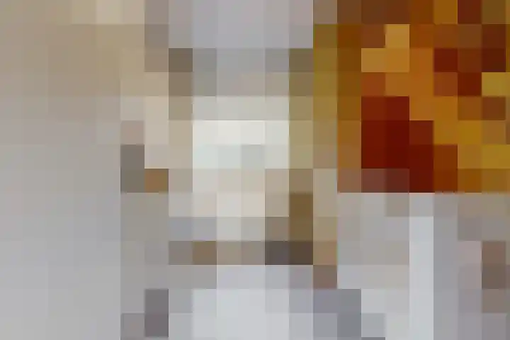 Kweldergras 5 Purmerend thumbnail 12