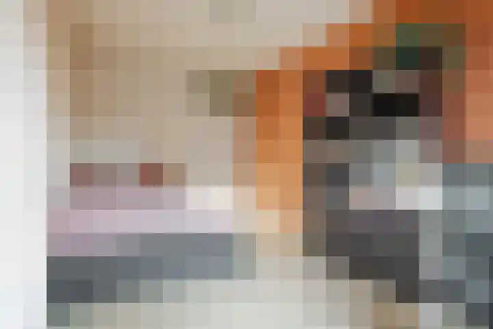 Kweldergras 5 Purmerend thumbnail 17