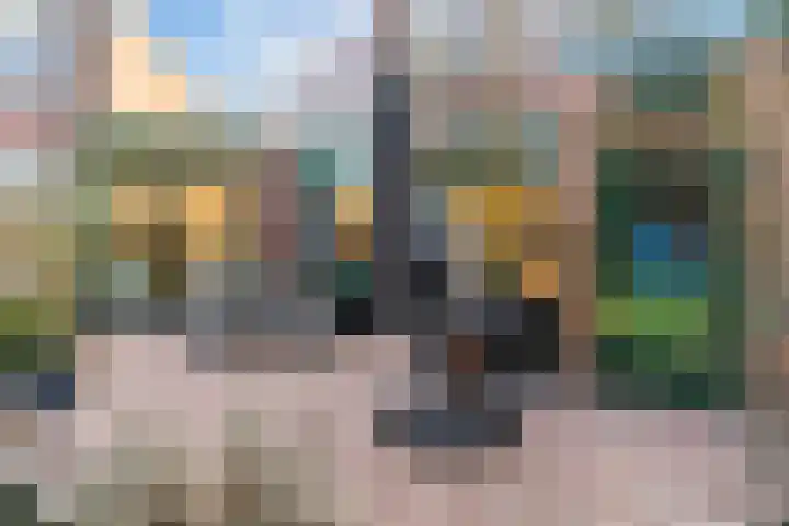 Kweldergras 5 Purmerend thumbnail 23