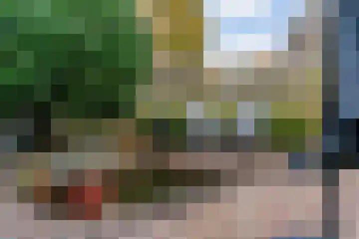 Kweldergras 5 Purmerend thumbnail 25