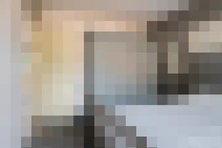 Kwikstaart 23 Raalte thumbnail 15