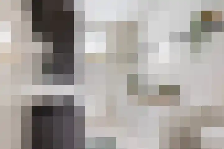 Kwikstaart 23 Raalte thumbnail 19