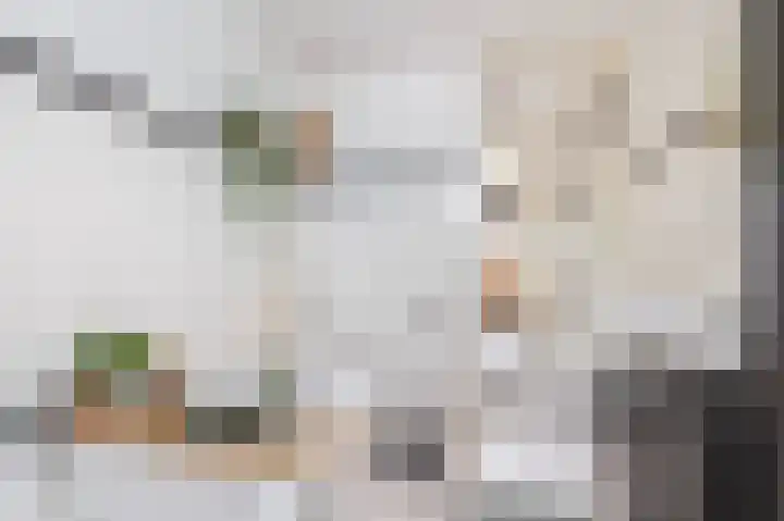 Kwikstaart 23 Raalte thumbnail 21