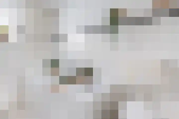 Kwikstaart 23 Raalte thumbnail 22