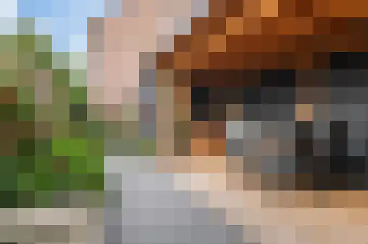 Kwikstaart 23 Raalte thumbnail 28