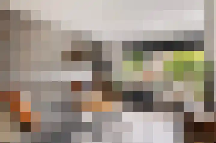 Kwikstaart 23 Raalte thumbnail 5