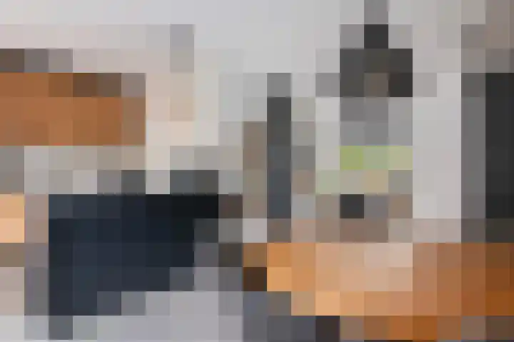Kwikstaart 23 Raalte thumbnail 9