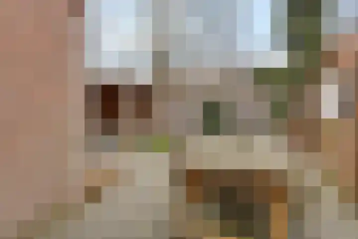 Kwikstaart 24 Siddeburen thumbnail 12