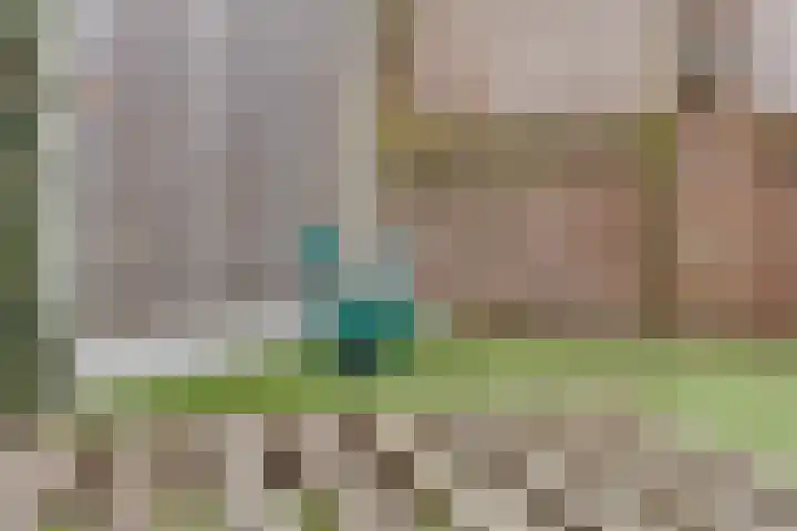 Kwikstaart 24 Siddeburen thumbnail 16
