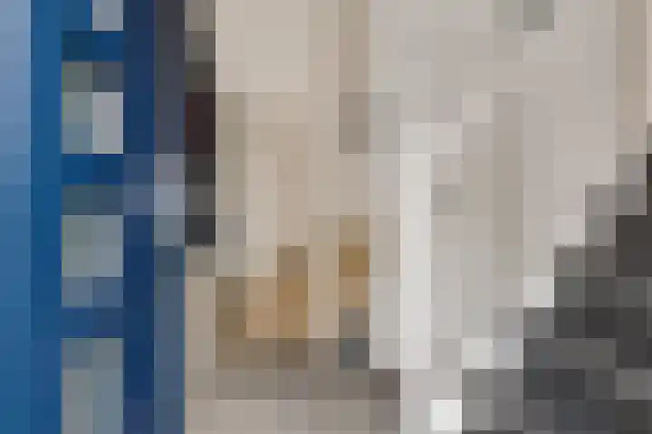 Kwikstaart 24 Siddeburen thumbnail 18