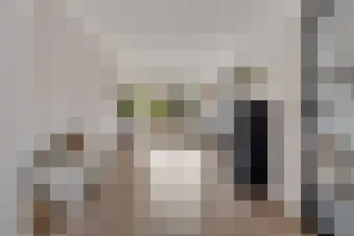 Kwikstaart 24 Siddeburen thumbnail 20
