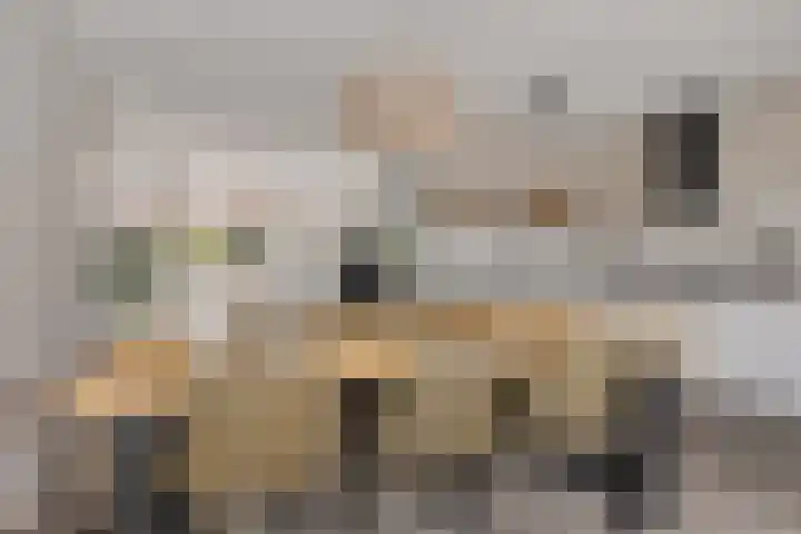 Kwikstaart 24 Siddeburen thumbnail 27