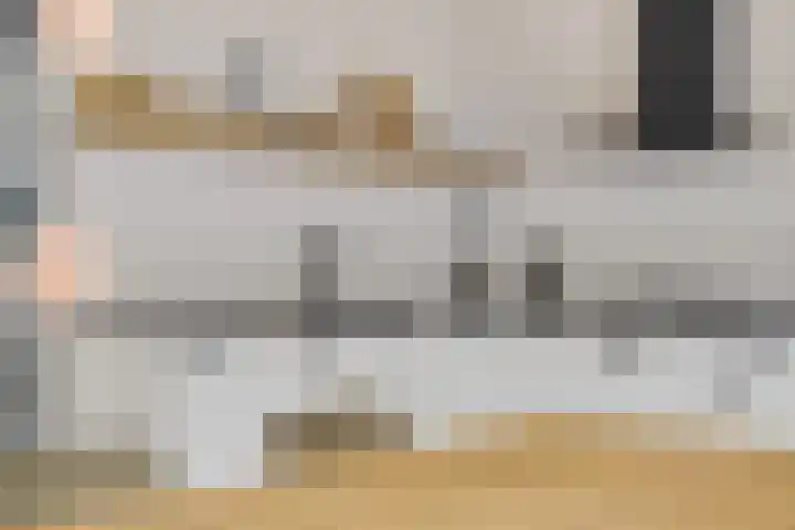 Kwikstaart 24 Siddeburen thumbnail 29