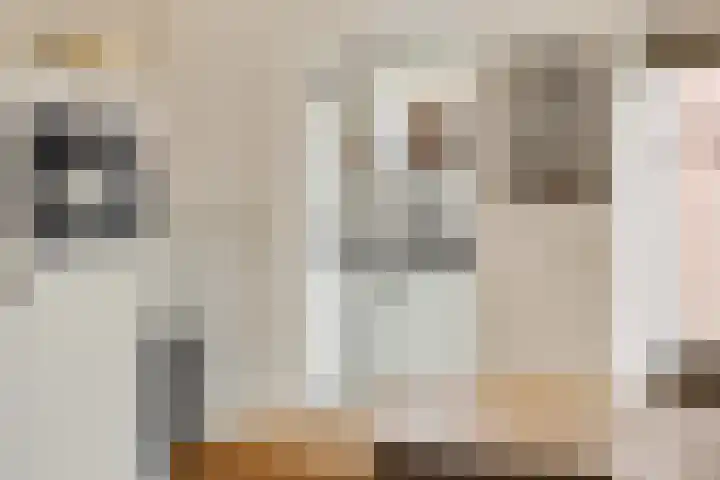 Kwikstaart 24 Siddeburen thumbnail 32