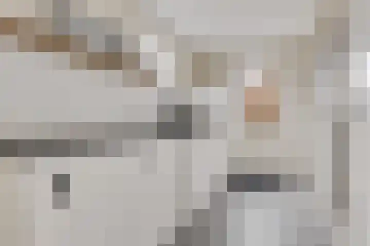 Kwikstaart 24 Siddeburen thumbnail 34