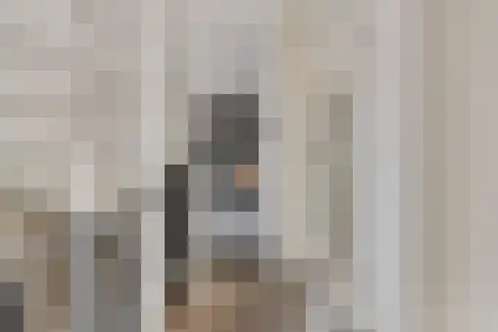 Kwikstaart 24 Siddeburen thumbnail 38