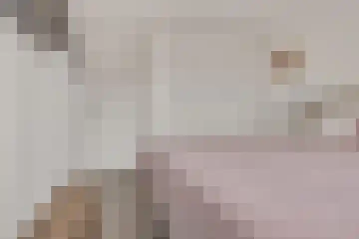 Kwikstaart 24 Siddeburen thumbnail 40