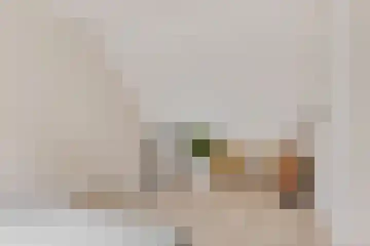 Kwikstaart 24 Siddeburen thumbnail 42