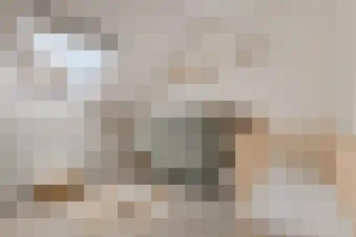 Kwikstaart 24 Siddeburen thumbnail 43