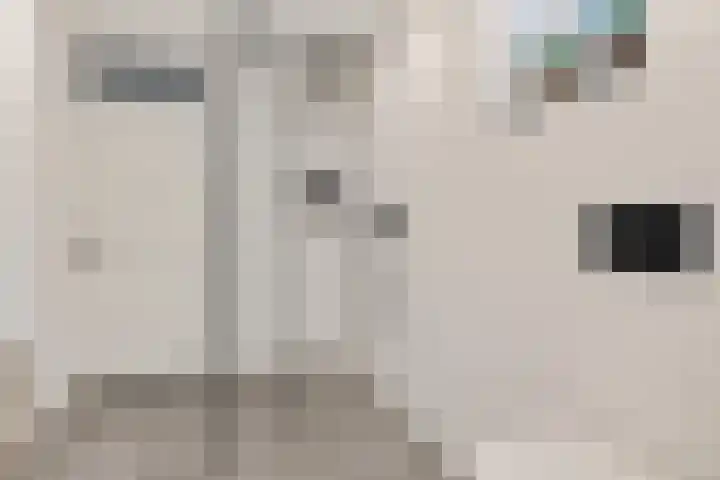Kwikstaart 24 Siddeburen thumbnail 47