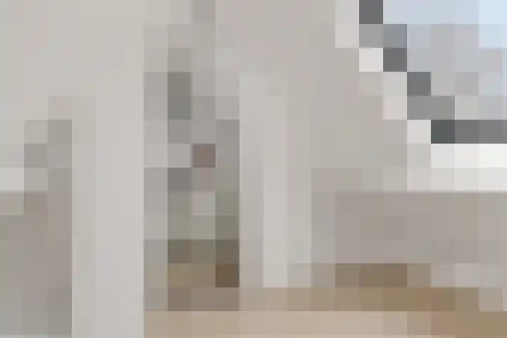 Kwikstaart 24 Siddeburen thumbnail 49