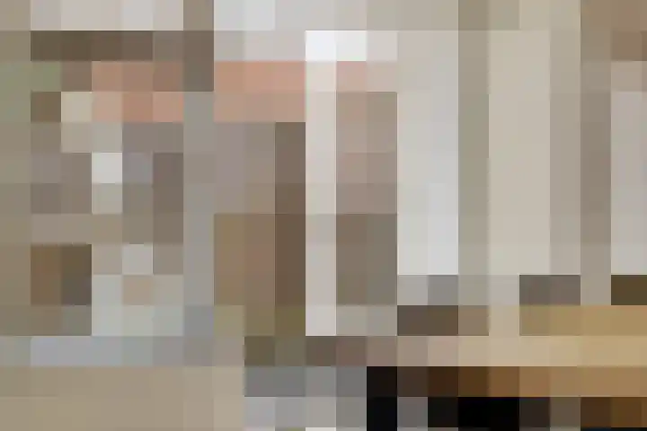 Kwikstaart 24 Siddeburen thumbnail 5
