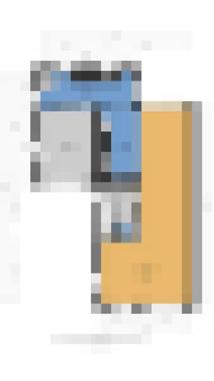 Kwikstaart 24 Siddeburen thumbnail 51