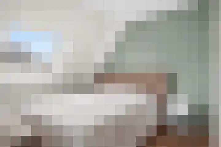 Kwikstaart 7 Deventer thumbnail 12