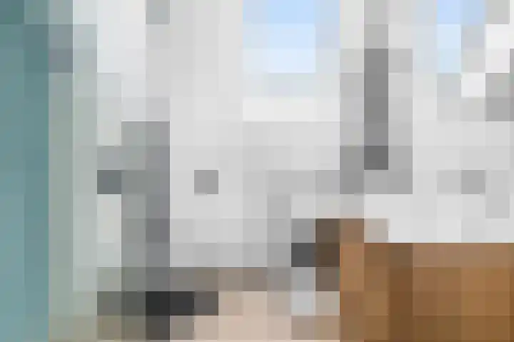 Kwikstaart 7 Deventer thumbnail 17