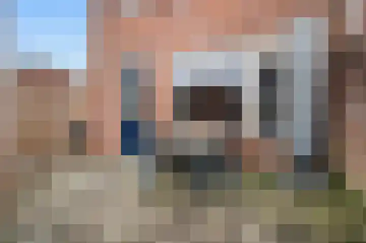 Kwikstaart 7 Deventer thumbnail 20