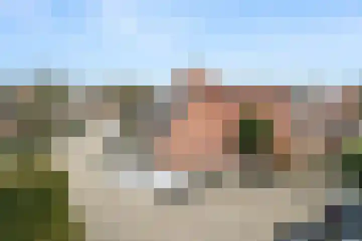 Kwikstaart 7 Deventer thumbnail 24
