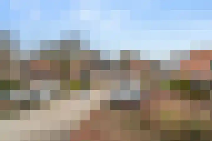Kwikstaart 7 Deventer thumbnail 25