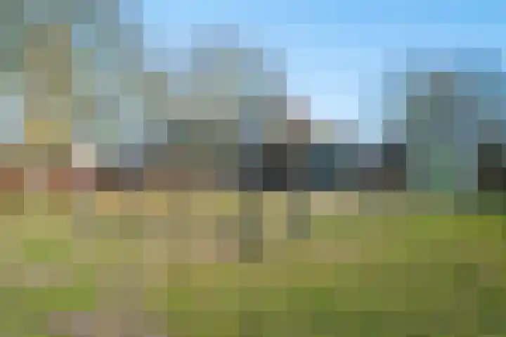 Kwikstaart 7 Deventer thumbnail 26