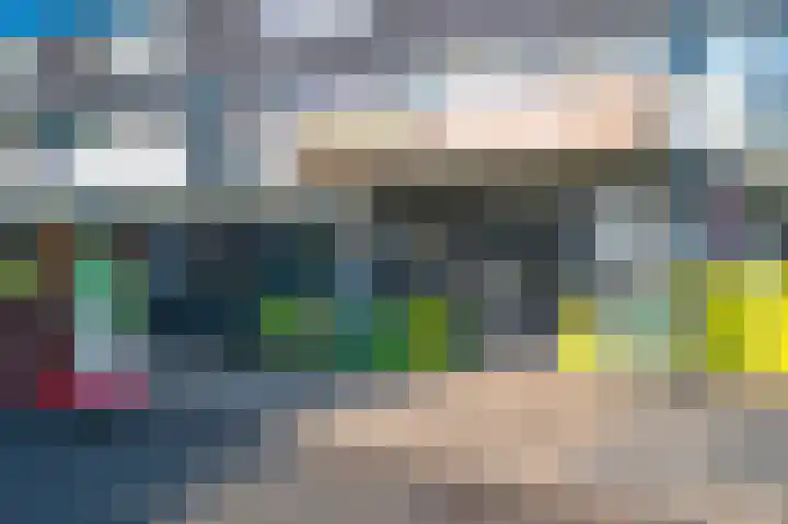 Kwikstaart 7 Deventer thumbnail 27