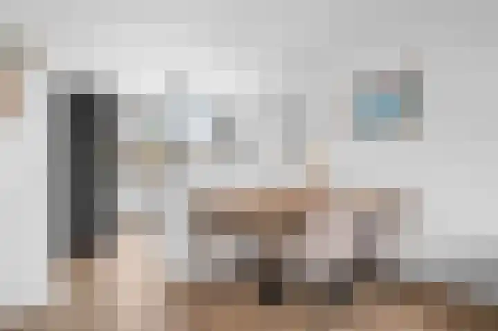 Kwikstaart 7 Deventer thumbnail 6