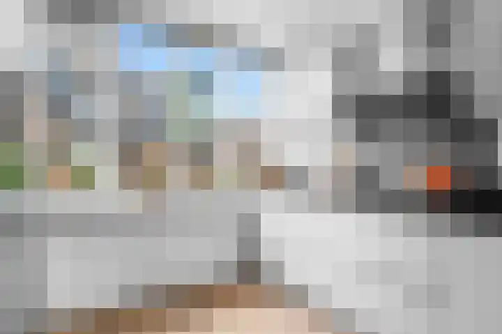 Kwikstaart 7 Deventer thumbnail 7