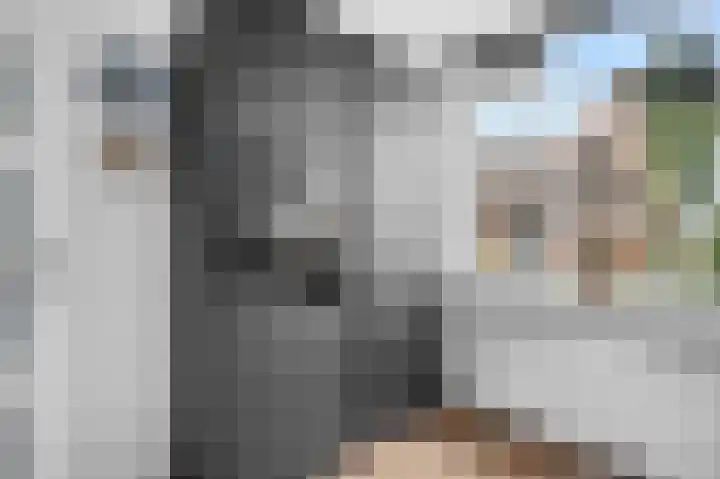 Kwikstaart 7 Deventer thumbnail 9