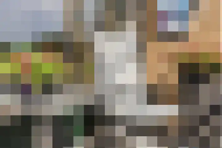 Kwikstraat 16 Apeldoorn thumbnail 27