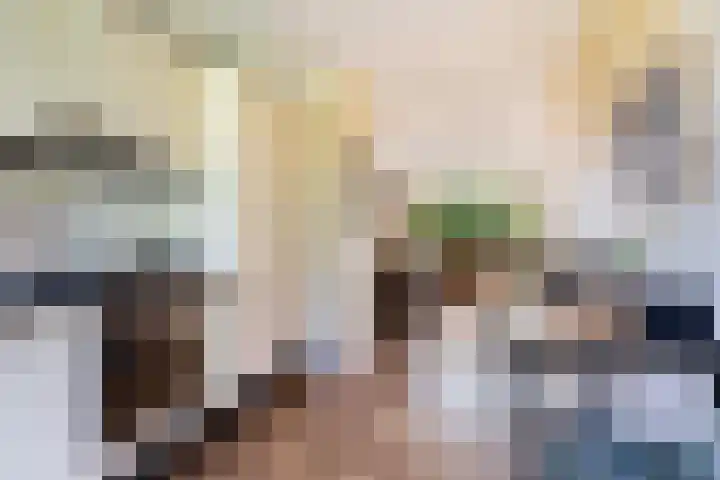Kwikstraat 16 Apeldoorn thumbnail 31