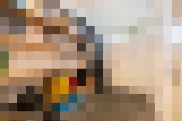 Kwikstraat 16 Apeldoorn thumbnail 32