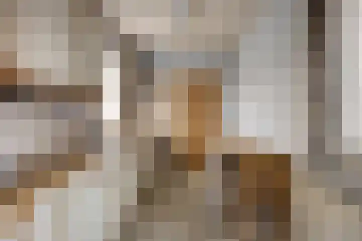 Kwikstraat 56 Apeldoorn thumbnail 10