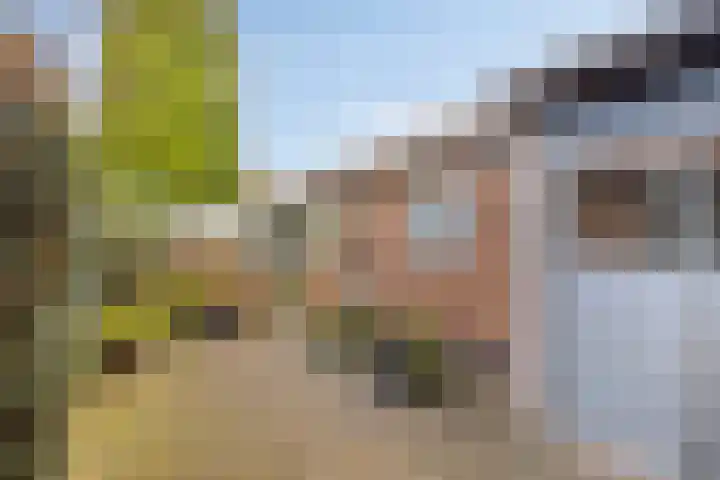 Kwikstraat 56 Apeldoorn thumbnail 22