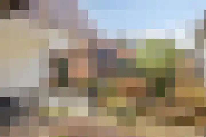 Kwikstraat 56 Apeldoorn thumbnail 28