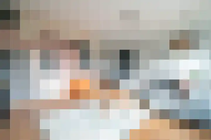 Kwint 35 Kampen thumbnail 7