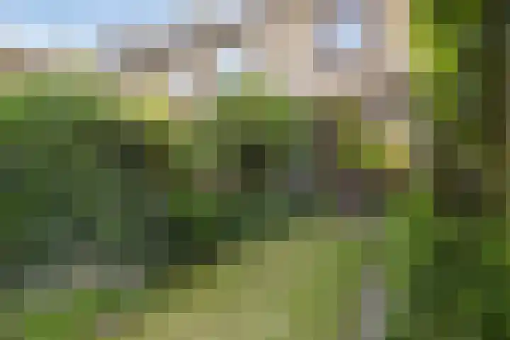 Kwintlaan 10 Leusden thumbnail 23