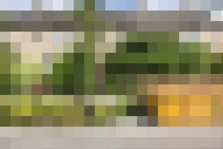 Kwintlaan 10 Leusden thumbnail 29